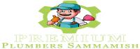 Premium Plumbers Sammamish image 1